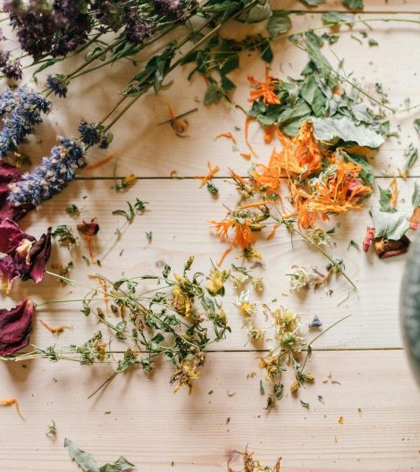 pexels-yankrukov-5480236 (1)